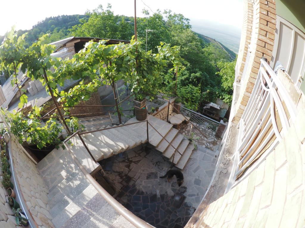 Zandarashvili Guest House Signagi Exterior foto